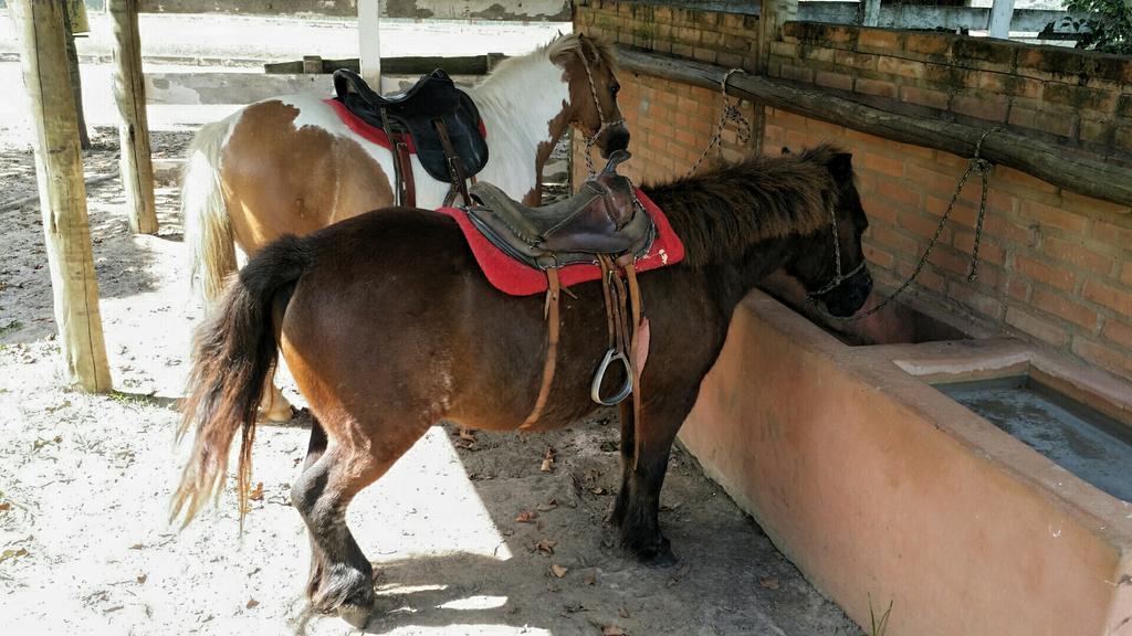 Pousada Suites Águas de São Pedro エクステリア 写真